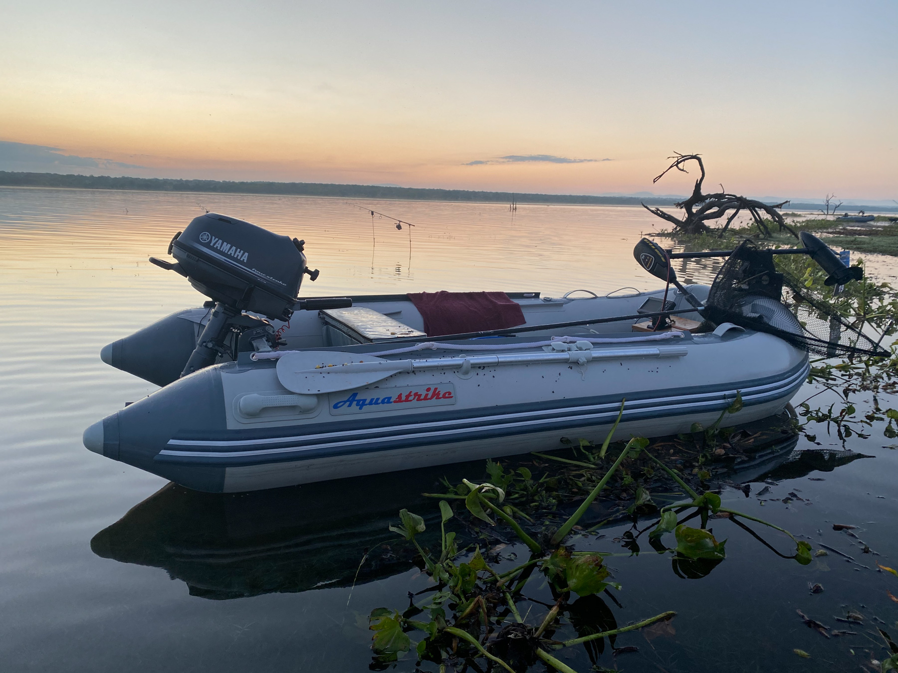 YAMAHA F5 AMHS - Imagen 3