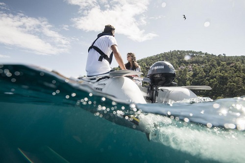 YAMAHA F2.5 BMHS - Imagen 3